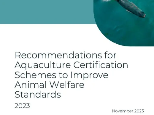 Recommendations for Aquaculture Certification Schemes to Improve Animal Welfare Standards