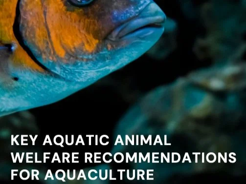 Aquaculture Welfare Guide