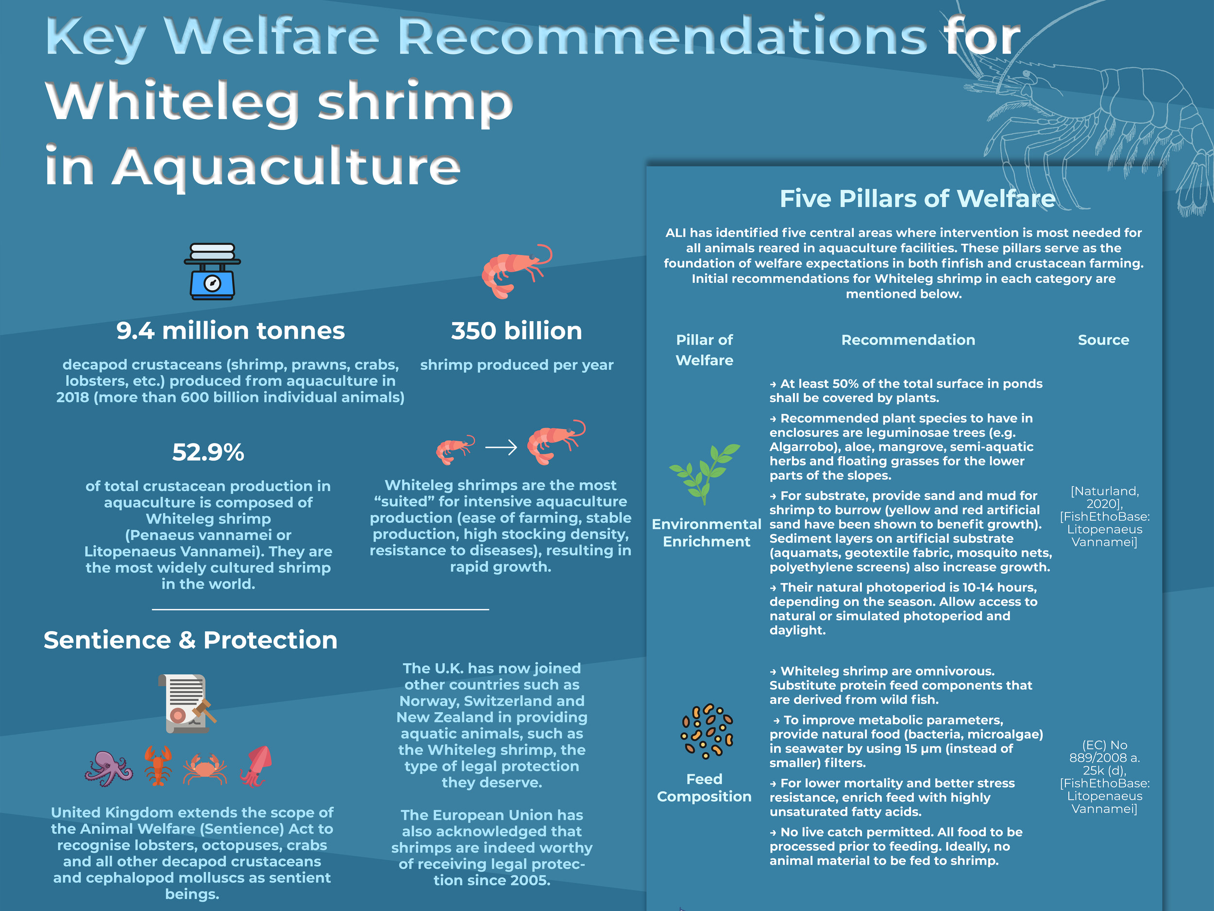 Key Welfare Recommendations for Whiteleg Shrimp in Aquaculture