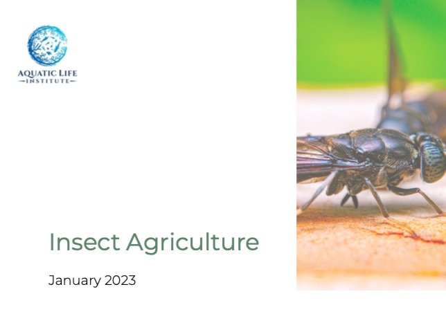 Insect Agriculture