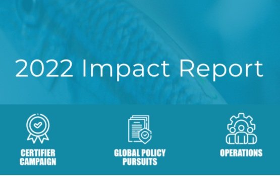 2022 Impact Report