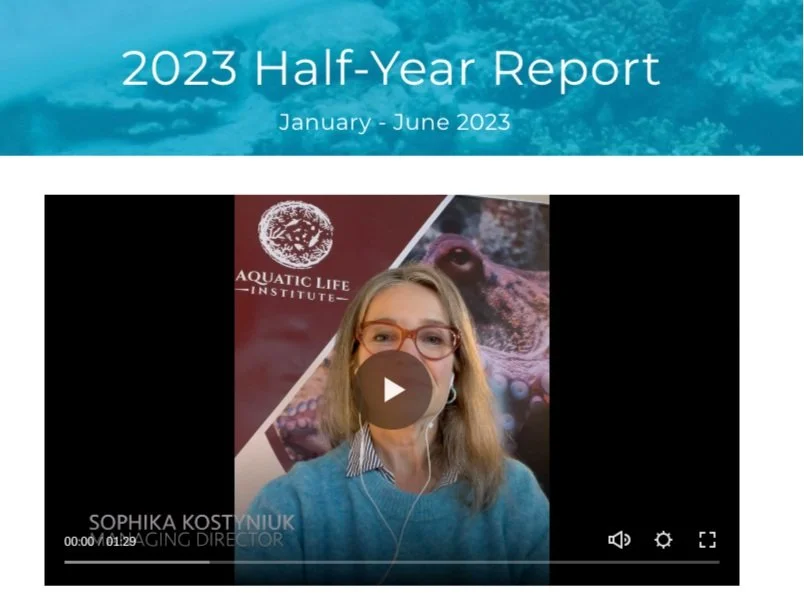 2023 Half-Year Report