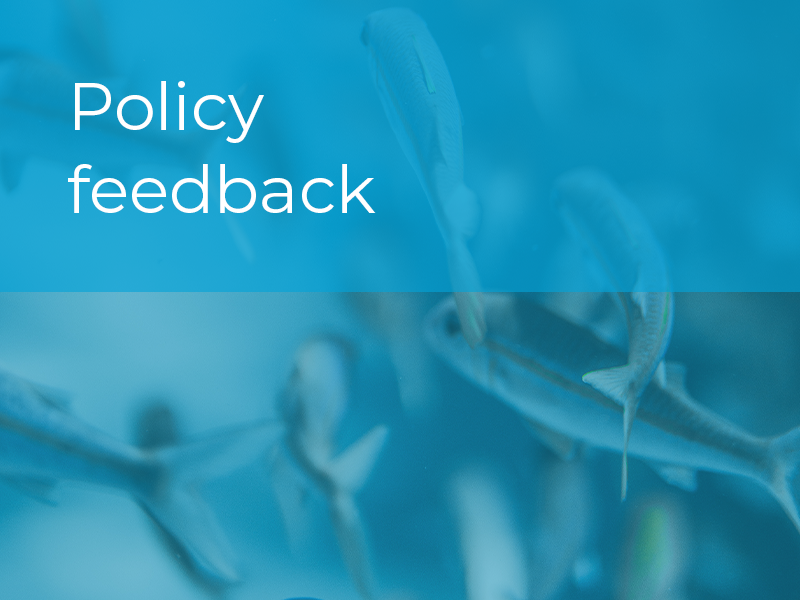 Policy feedback