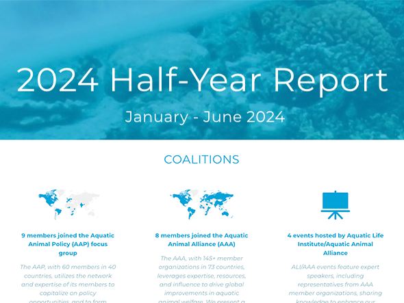 2024 Half-Year Report