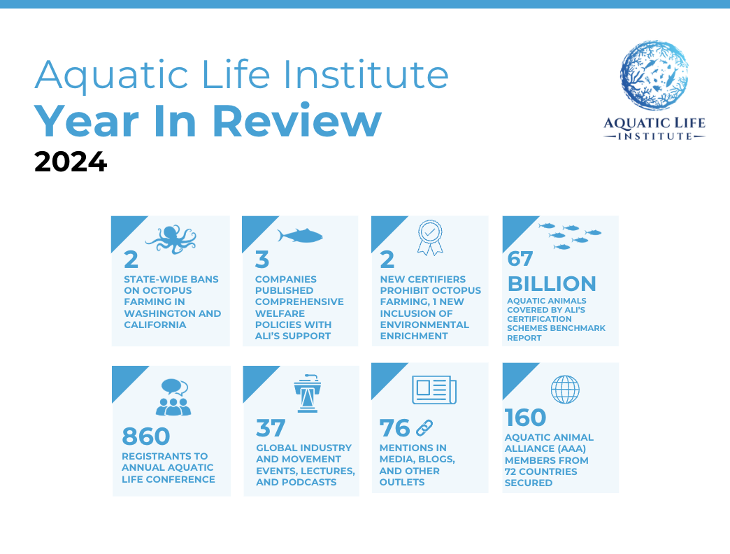 2024 Year in Review Report