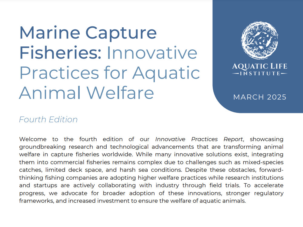 Marine Capture Fisheries: Innovative Practices ﻿for Aquatic Animal Welfare (4th Edition)