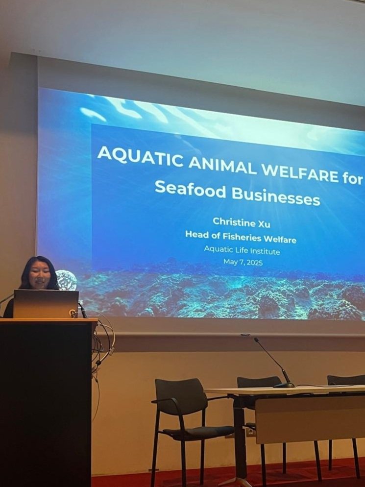 SEG25_Aquatic-Life-Institute_Optimar-fish-welfare-session.jpg