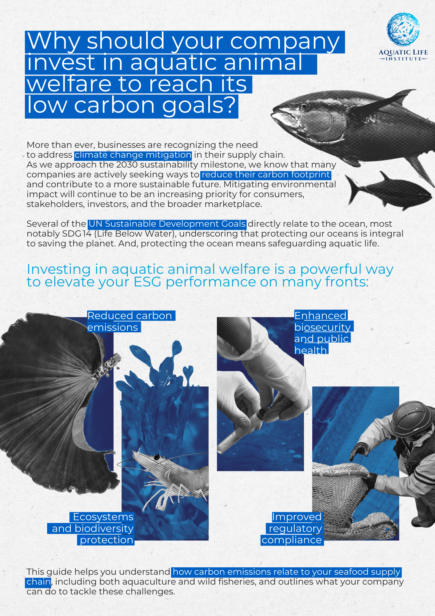 Why should your company invest in aquatic animal welfare to reach its low carbon goals?