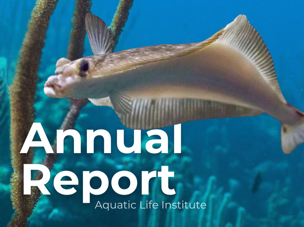 2025 Annual Report