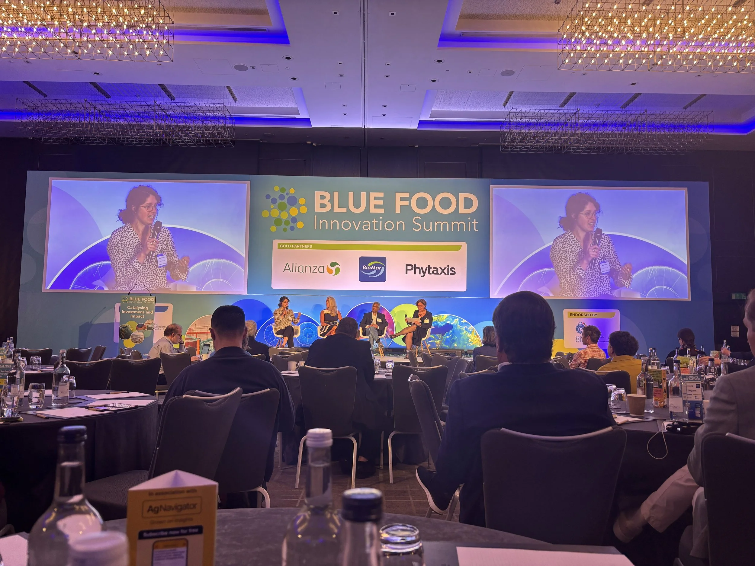 From metrics to welfare: Rethinking blue food innovation