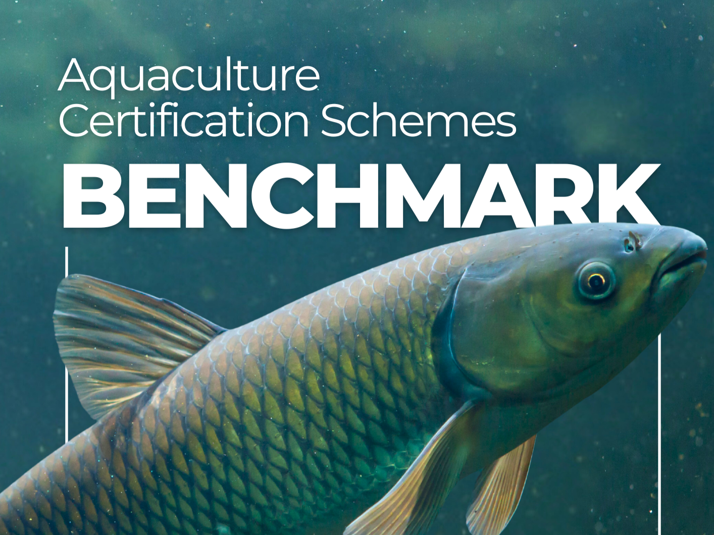 2025 Aquaculture Certification Schemes Benchmark