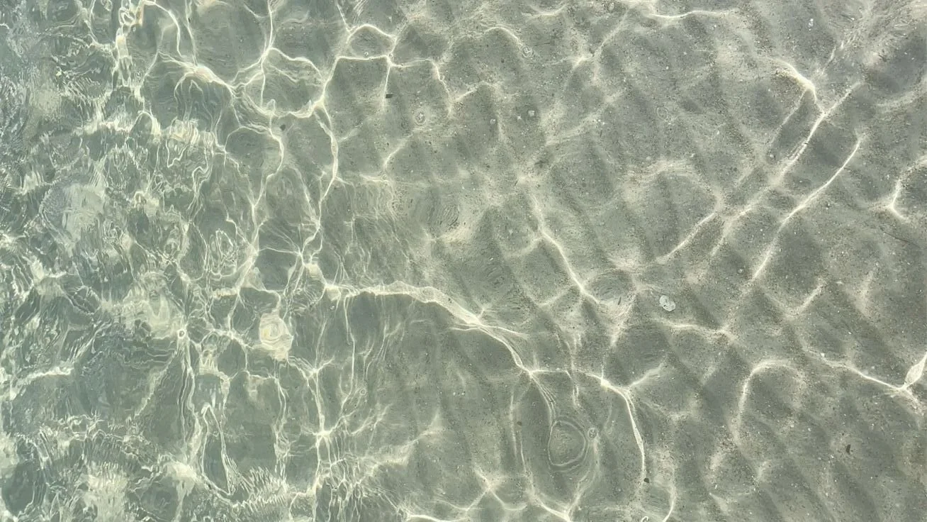 What Is EMDR Therapy? A Guide for Clients in Redondo Beach