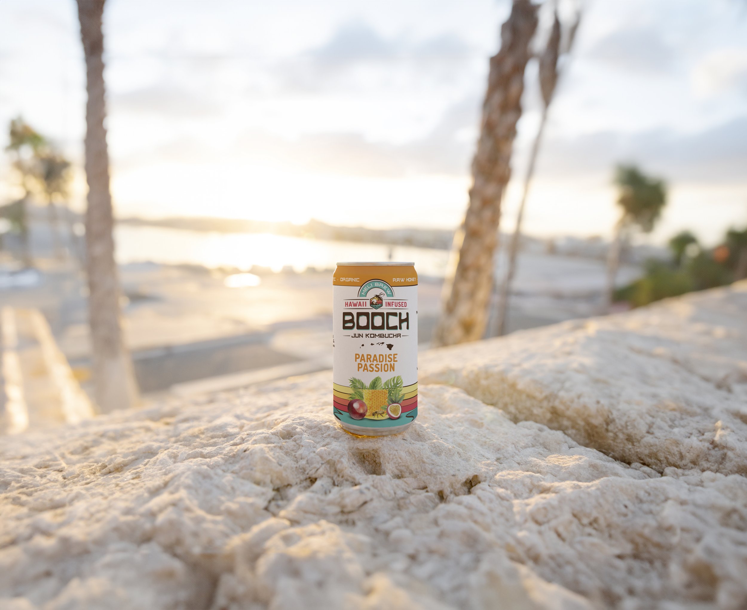 can on a rock.jpg