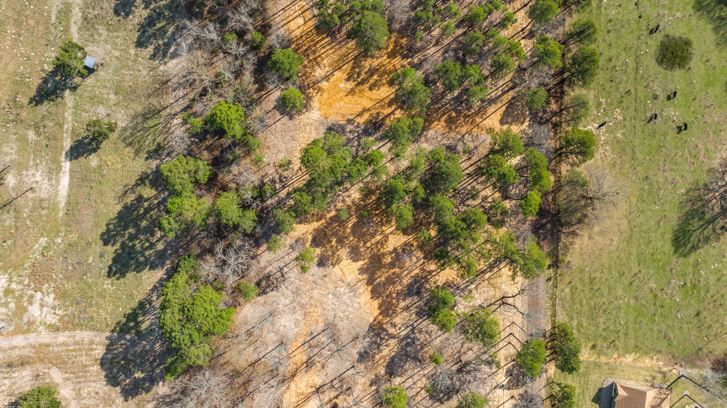 10-Aerial View.jpg