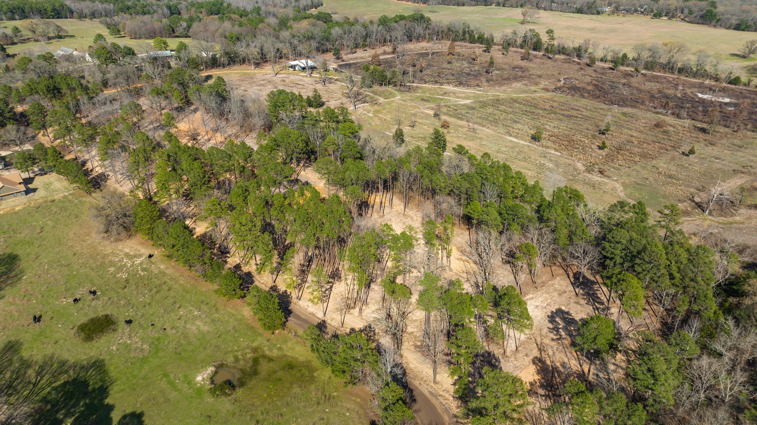 14-Aerial View.jpg