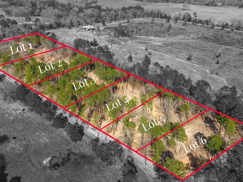 numbered lots.jpg