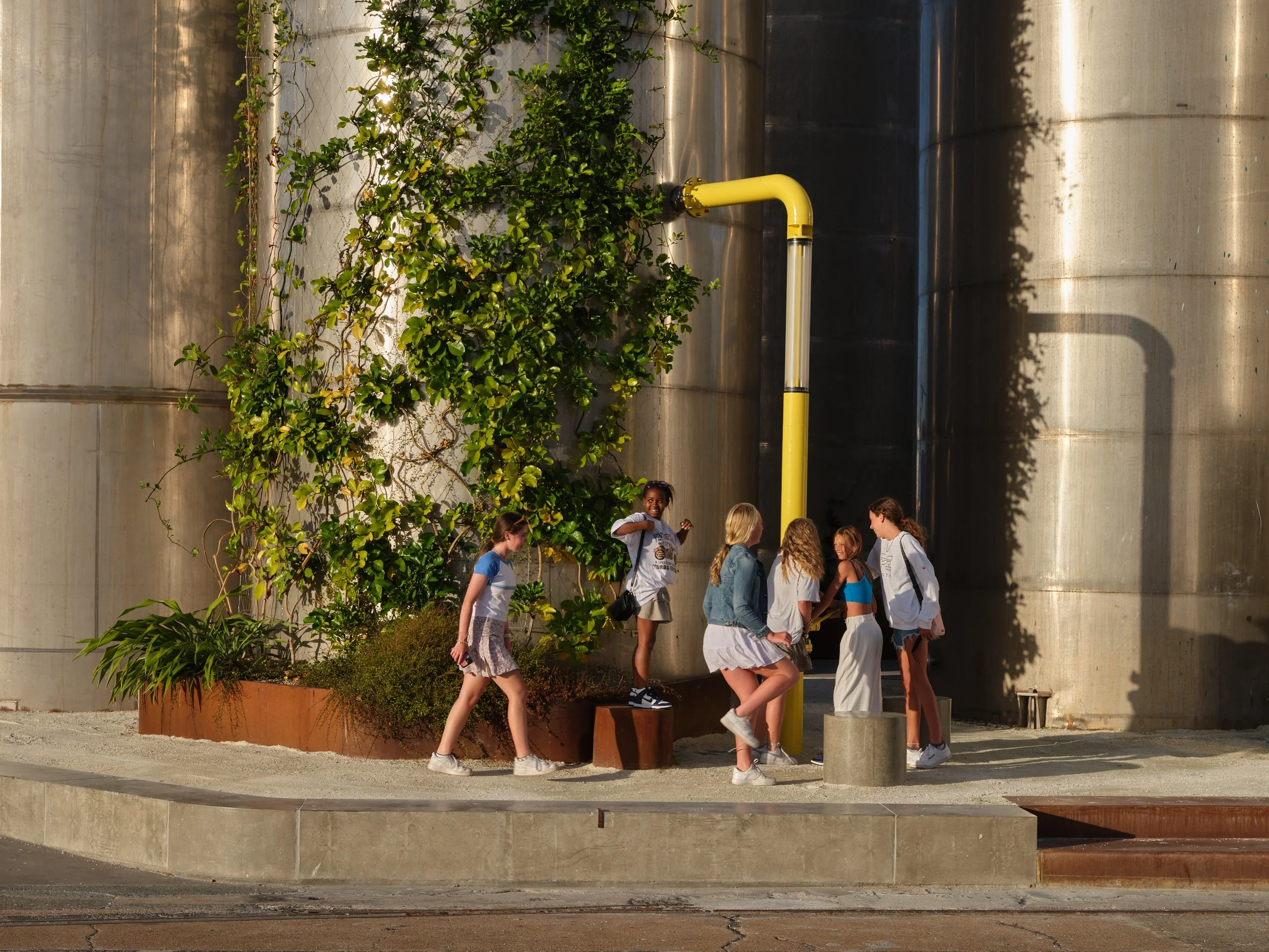 A group of teenage girls congregating in Tank Park, Auckland