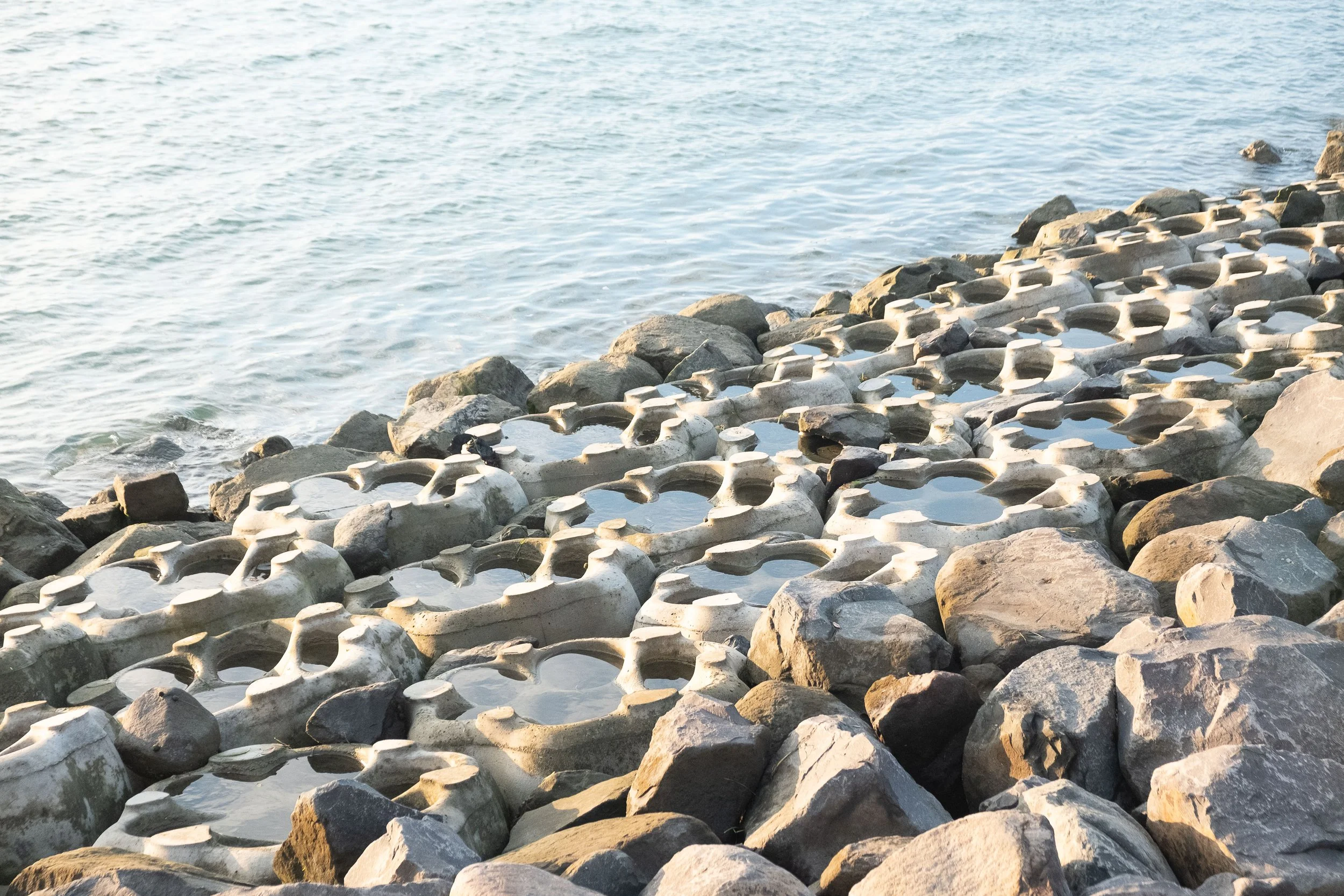 TMW_ Tauranga Moana Waterfront