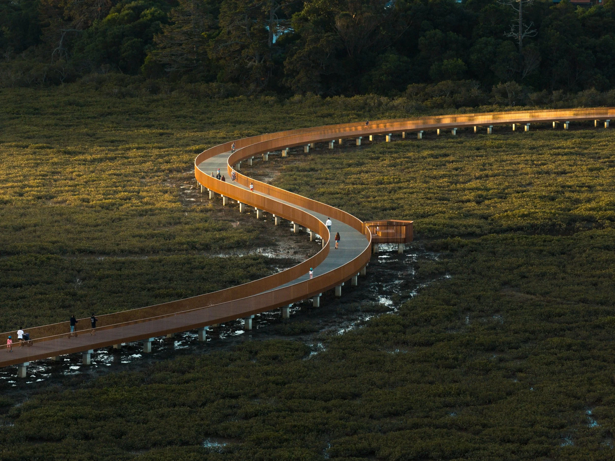 TE WHAU BOARDWALK-6_WEB.jpg
