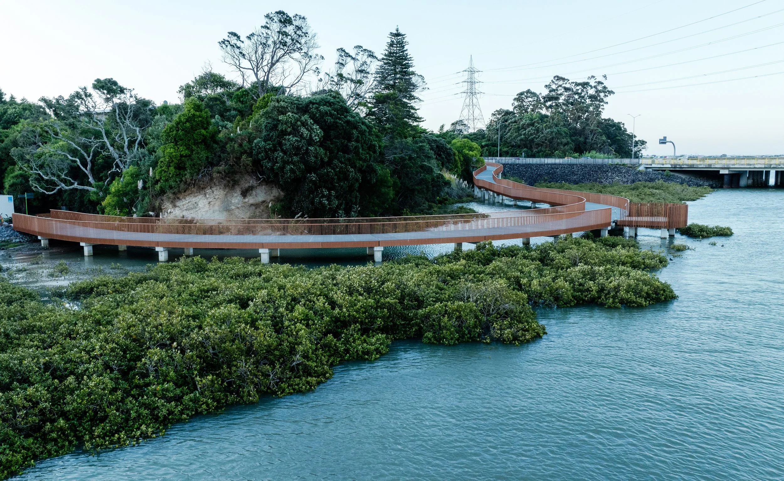 DJI_0805 - brightened crop.jpg