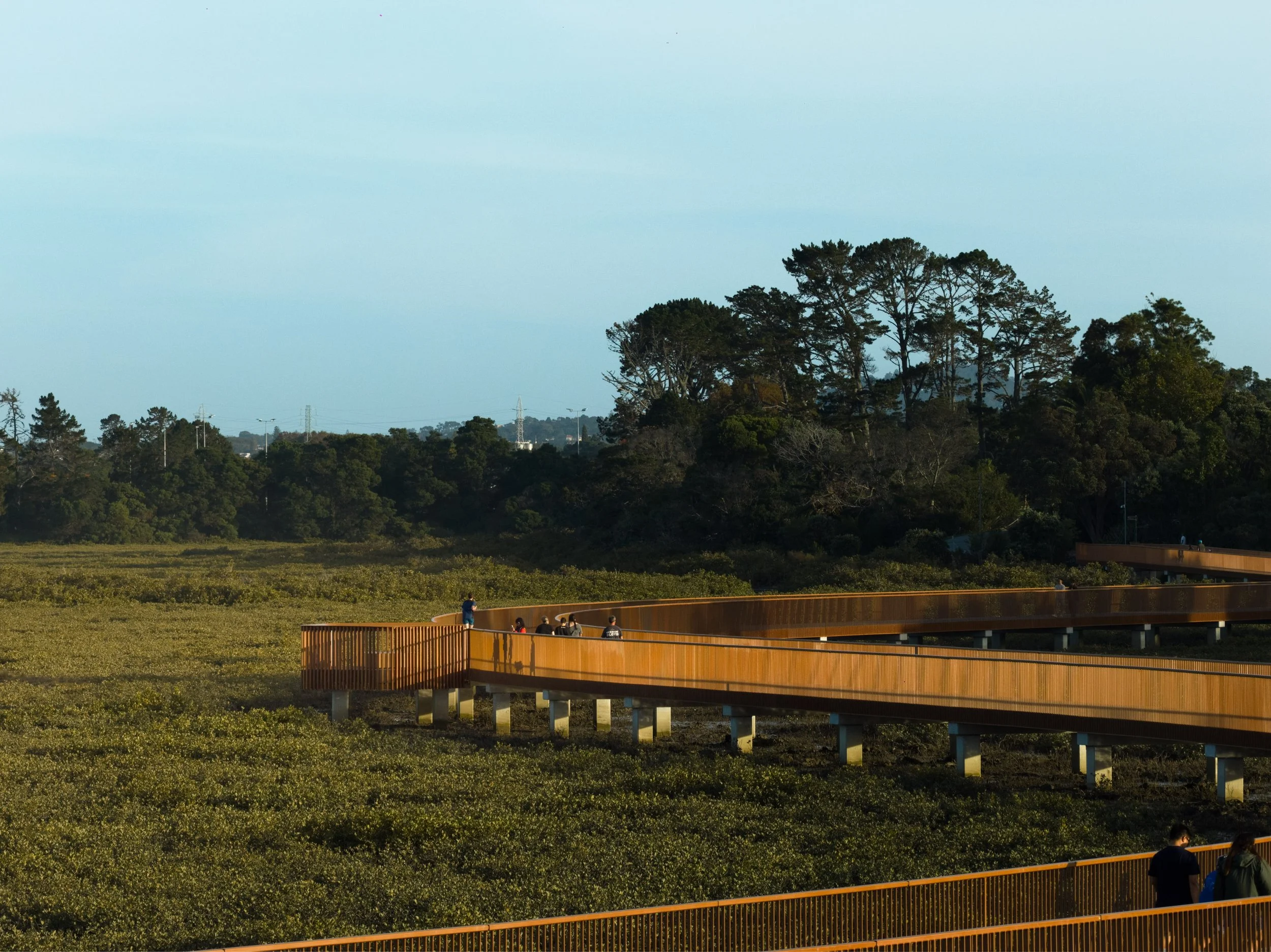 TE WHAU BOARDWALK-4_WEB.jpg