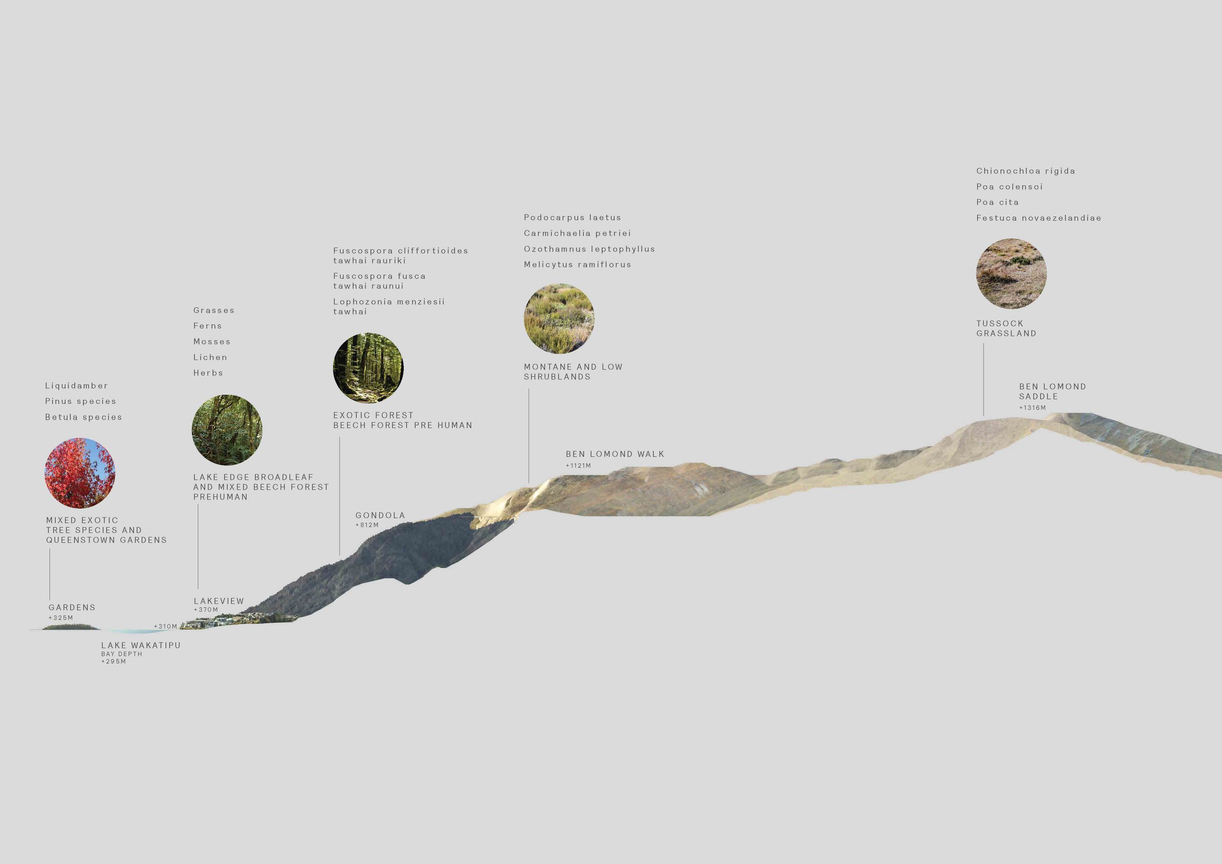 1820 - Queenstown Streetscapes - best_Page_10.jpg