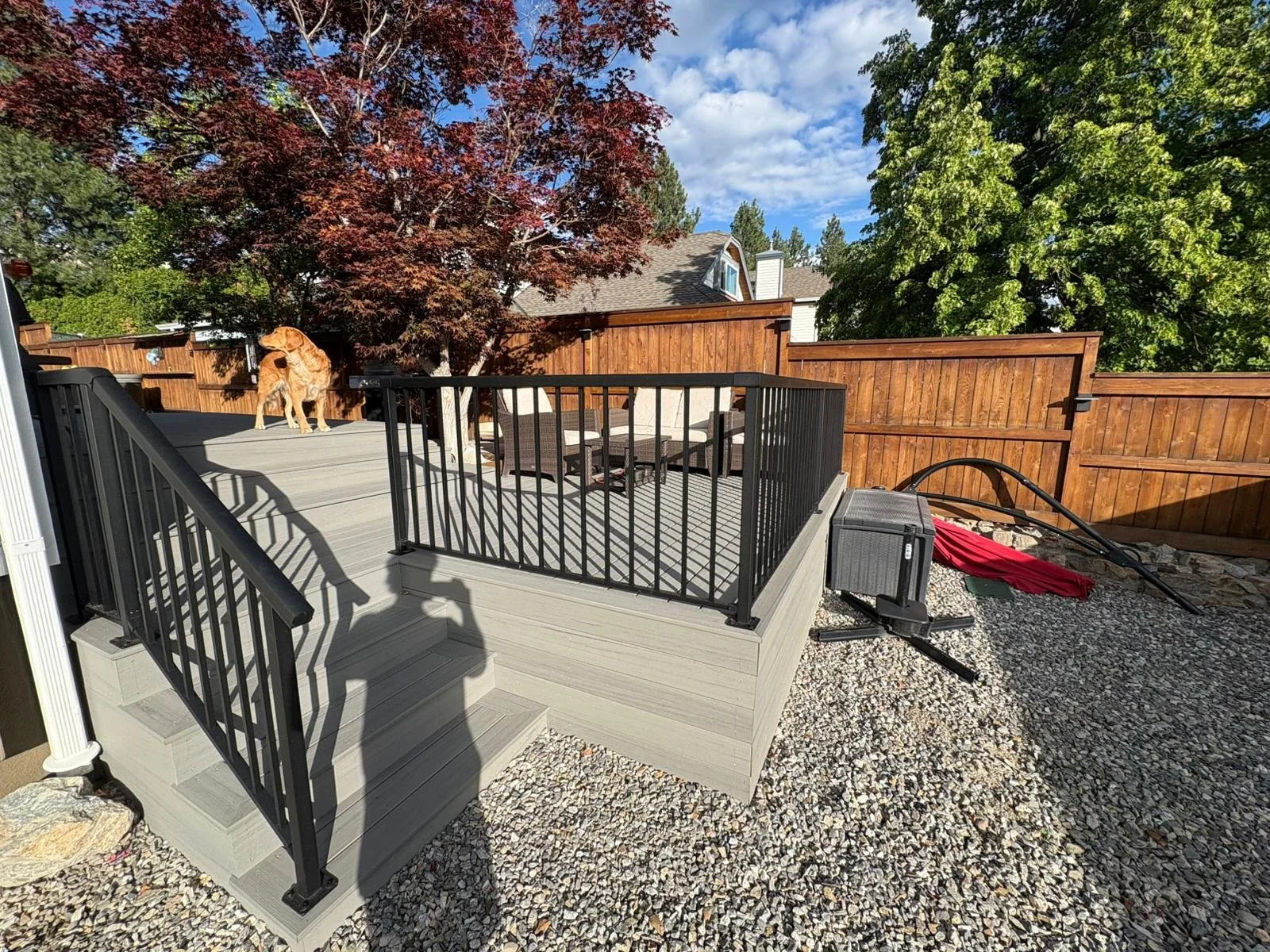 Backyard patio with wooden and metal steps, a deck with black railing, outdoor furniture, a dog standing on the deck, trees, and a wooden fence.