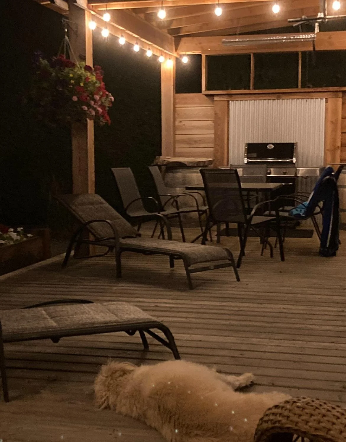 A cozy outdoor patio at night with string lights overhead, a wooden deck with lounge chairs and a dining table, a grill, and a golden retriever lying on the deck.