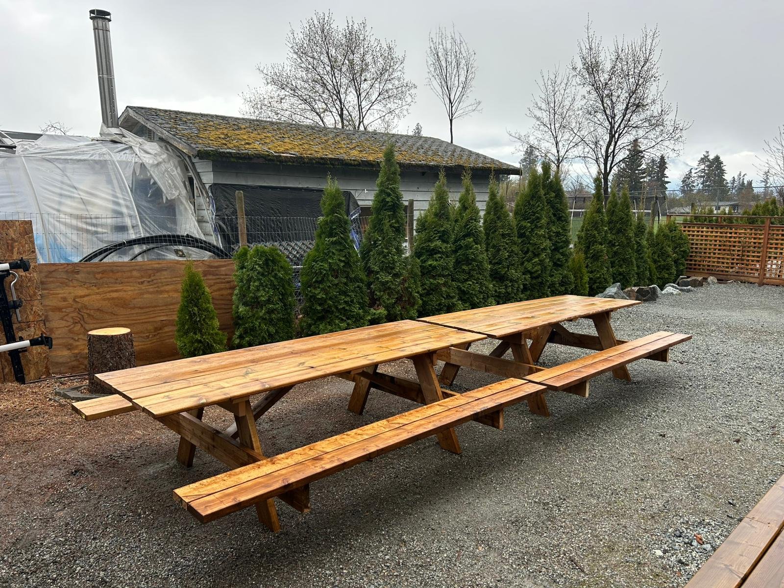 Outdoor scene with wooden picnic tables and evergreen trees, gravel ground, fenced yard, and a building with mossy roof in the background.