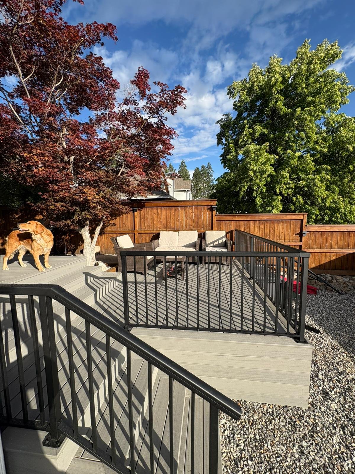 A backyard deck with a black metal railing, outdoor seating including a wicker sofa with beige cushions, a dog, and two trees with green and reddish leaves, under a partly cloudy blue sky.