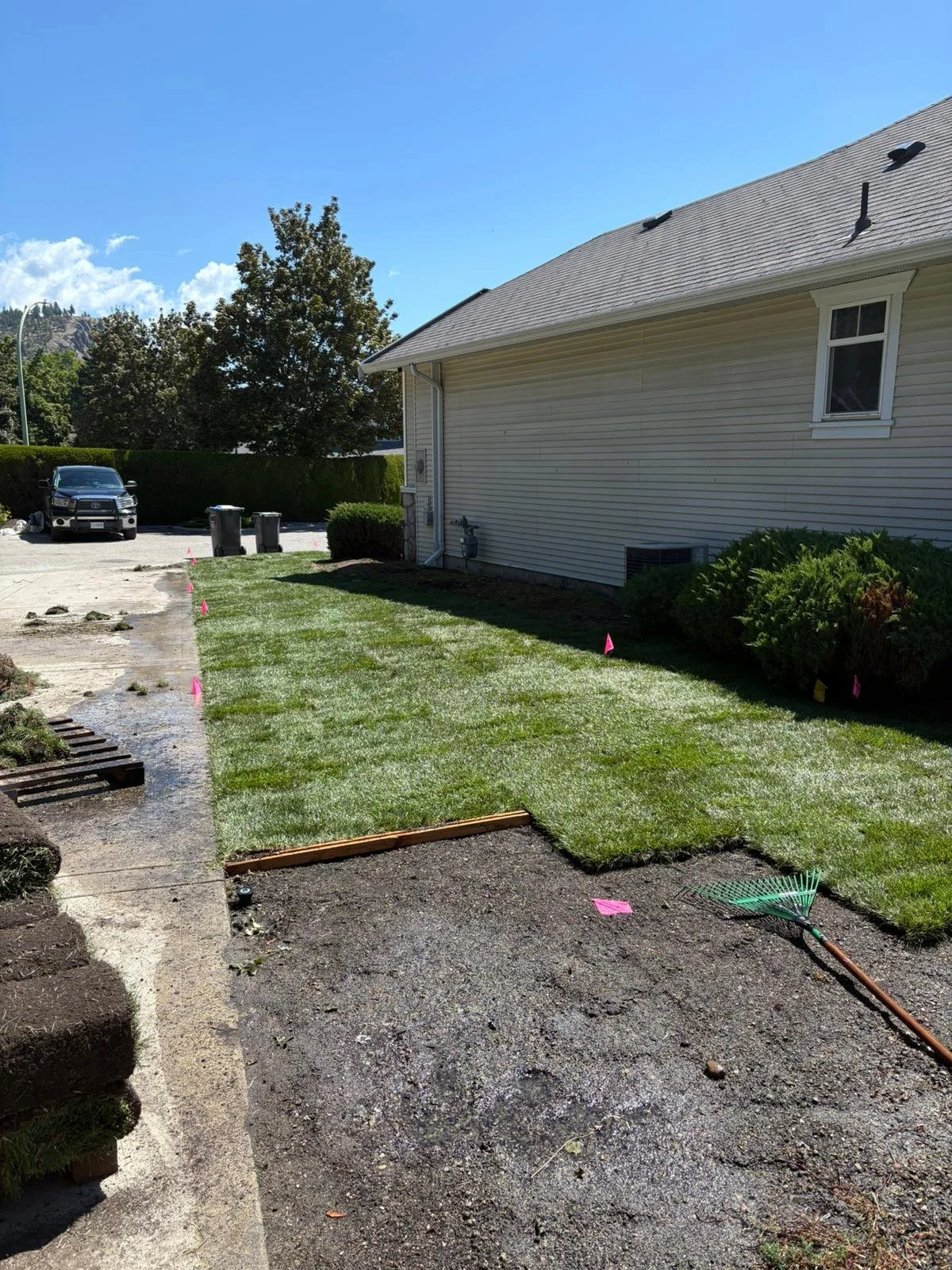 Front yard of a house with freshly laid sod grass, pink flags marking the area, a rake on the ground, and a house with siding with two small windows. In the background, there's a driveway with trash cans and a car, and a clear blue sky above.