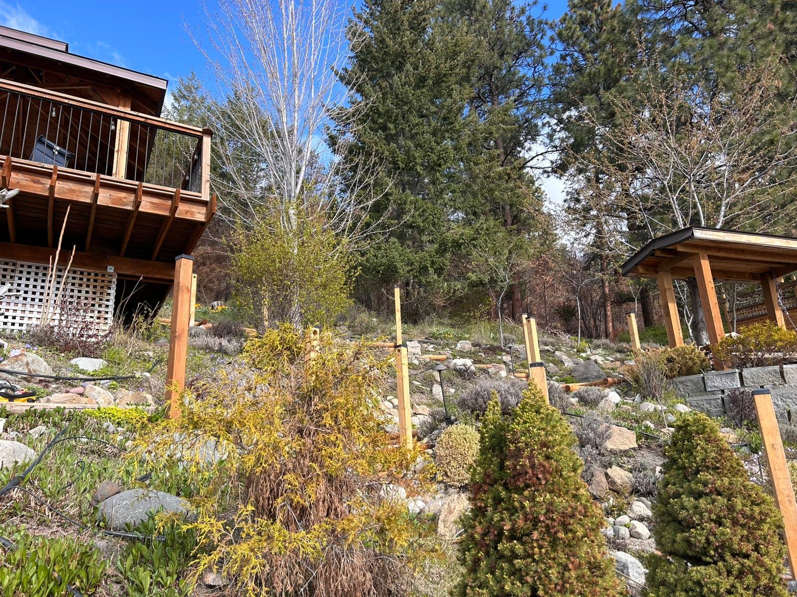 A landscaped hillside with small shrubs, rocks, and plants, featuring a wooden deck, a pergola, and trees in the background under a bright blue sky.