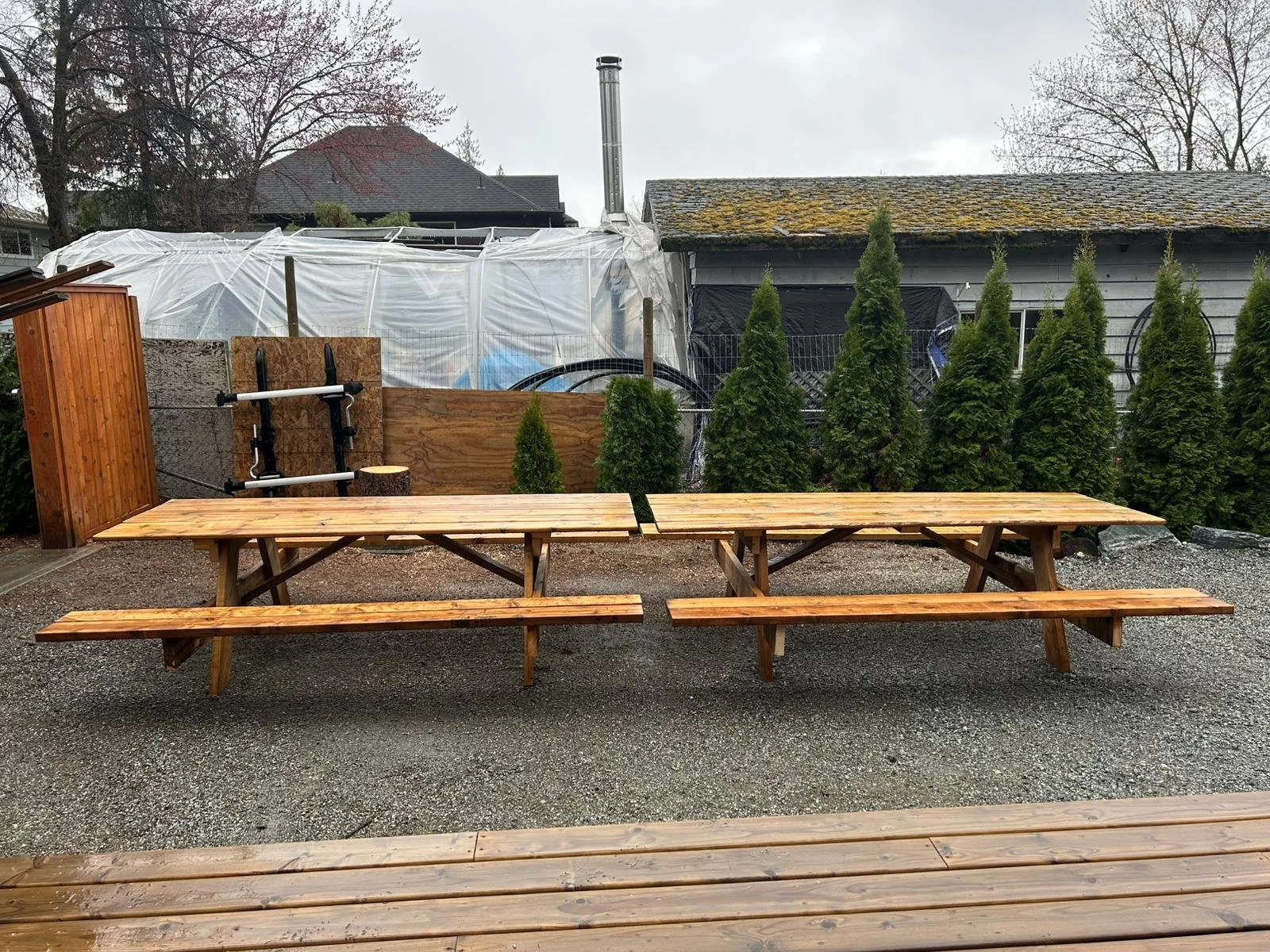 Two wooden picnic tables outdoors on gravel, with a row of tall evergreen trees and a shed in the background.