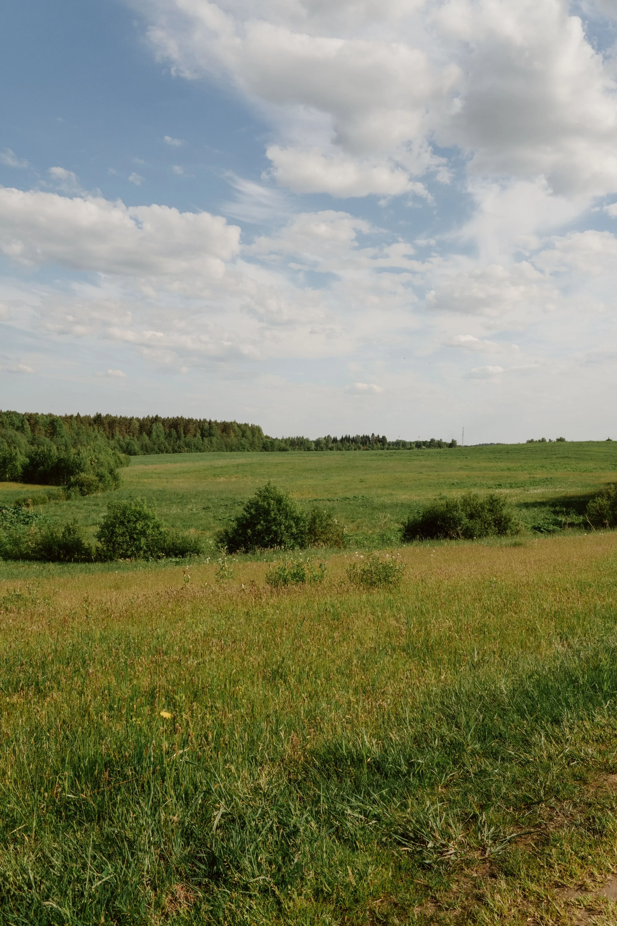 The Field Beyond the Field: On Rumi &amp; Quantum Physics
