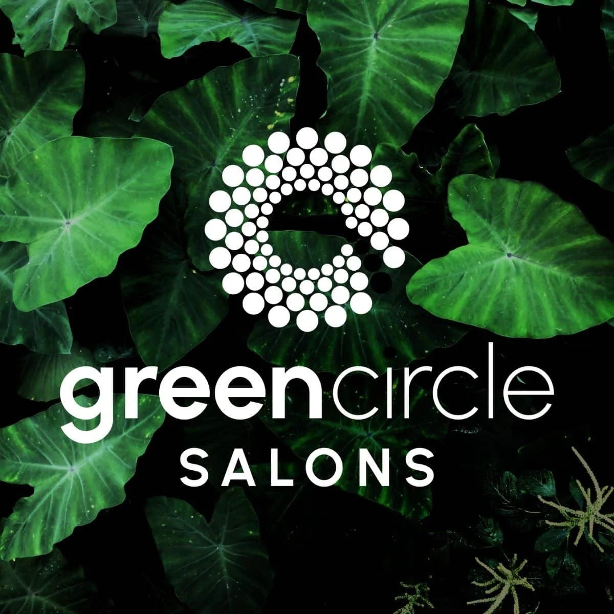 Beauty With Purpose: Our Partnership with Green Circle Salons