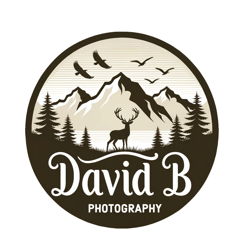 David B Photography