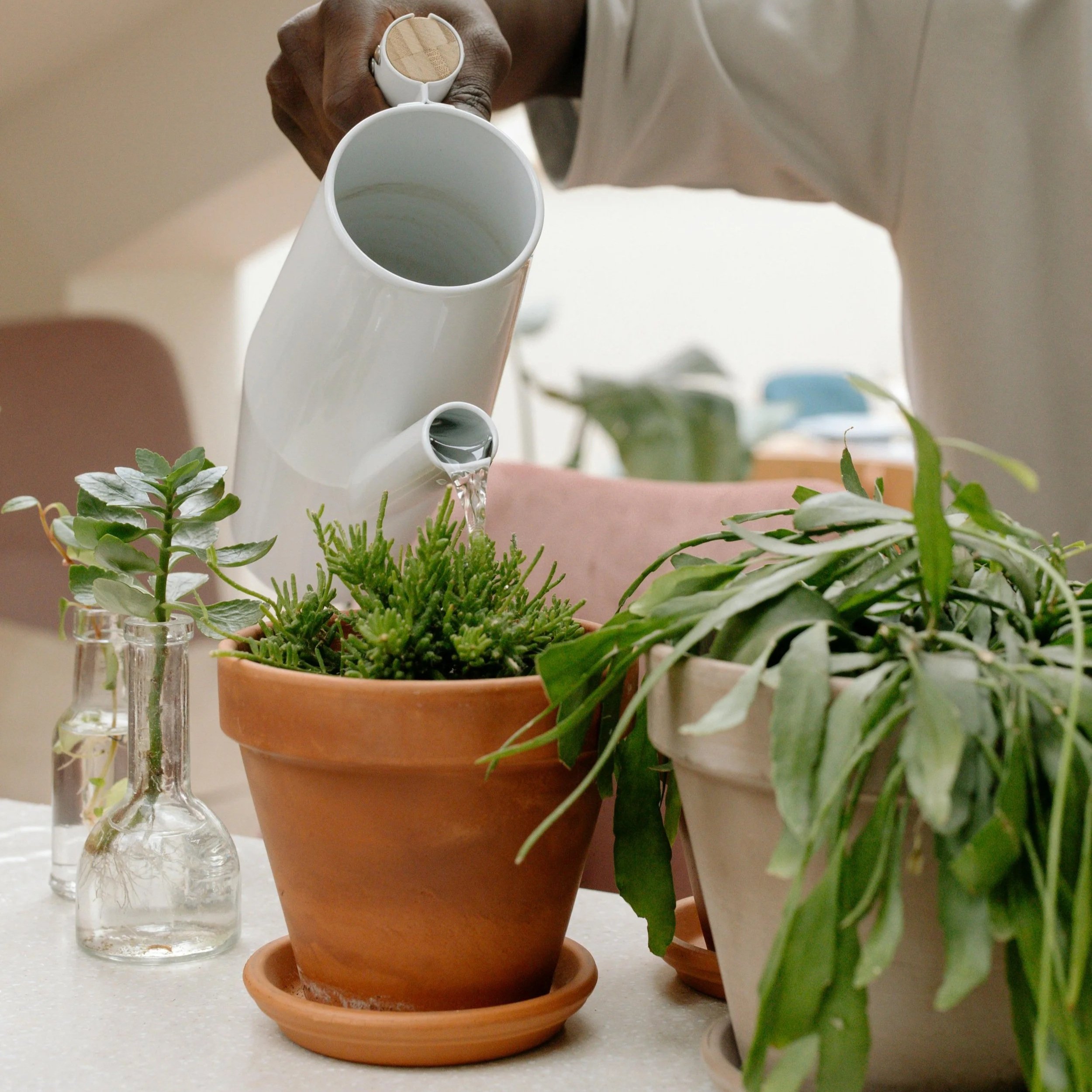 Person waters potted plant. Understanding Minds supports families as they navigate life's challenges. Dr. Backe provides neuropsychological evaluation as well as consultation for parents and allied health professionals.