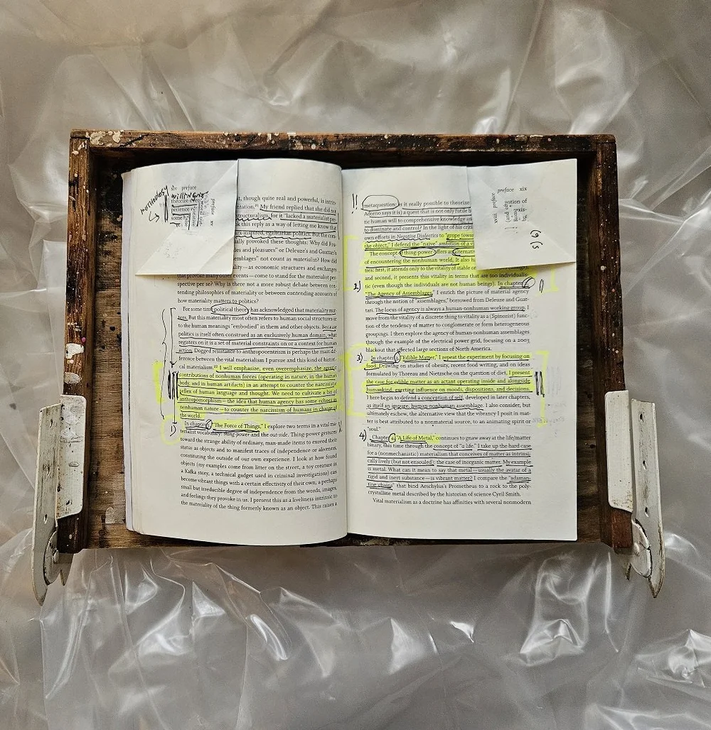 20241101_081039 - Copy.jpg