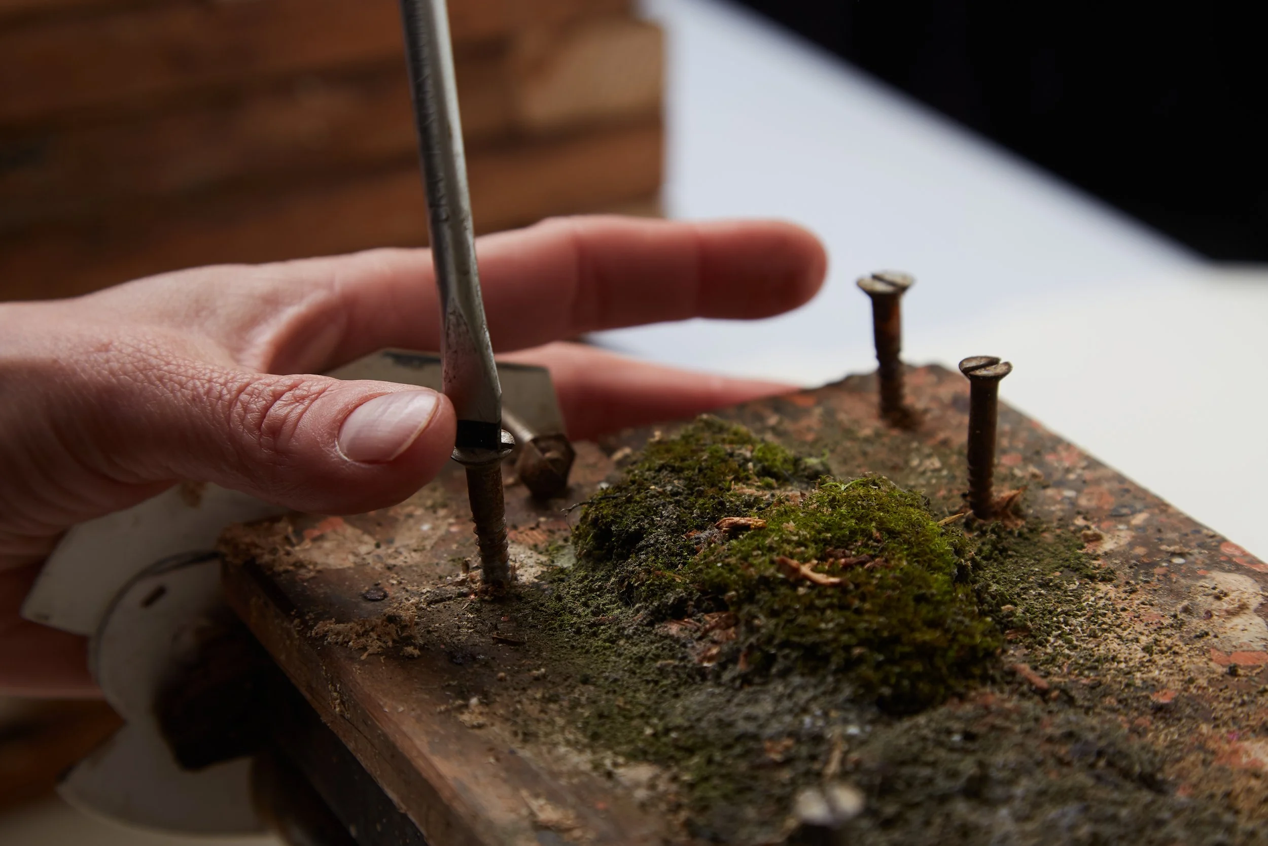 Copy of 2024 11 22 IAD Shoot0324.jpg