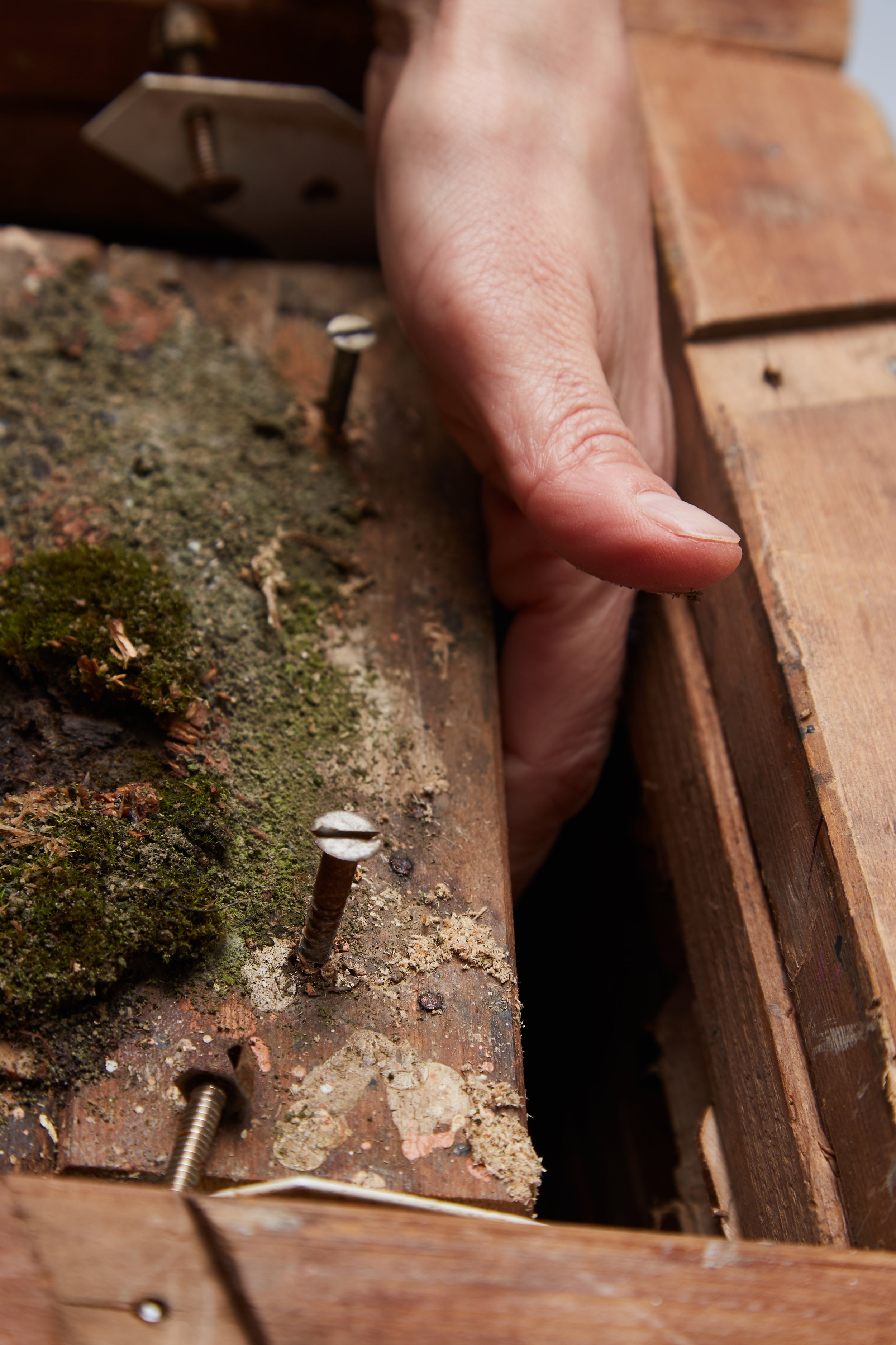 Copy of 2024 11 22 IAD Shoot0329.jpg