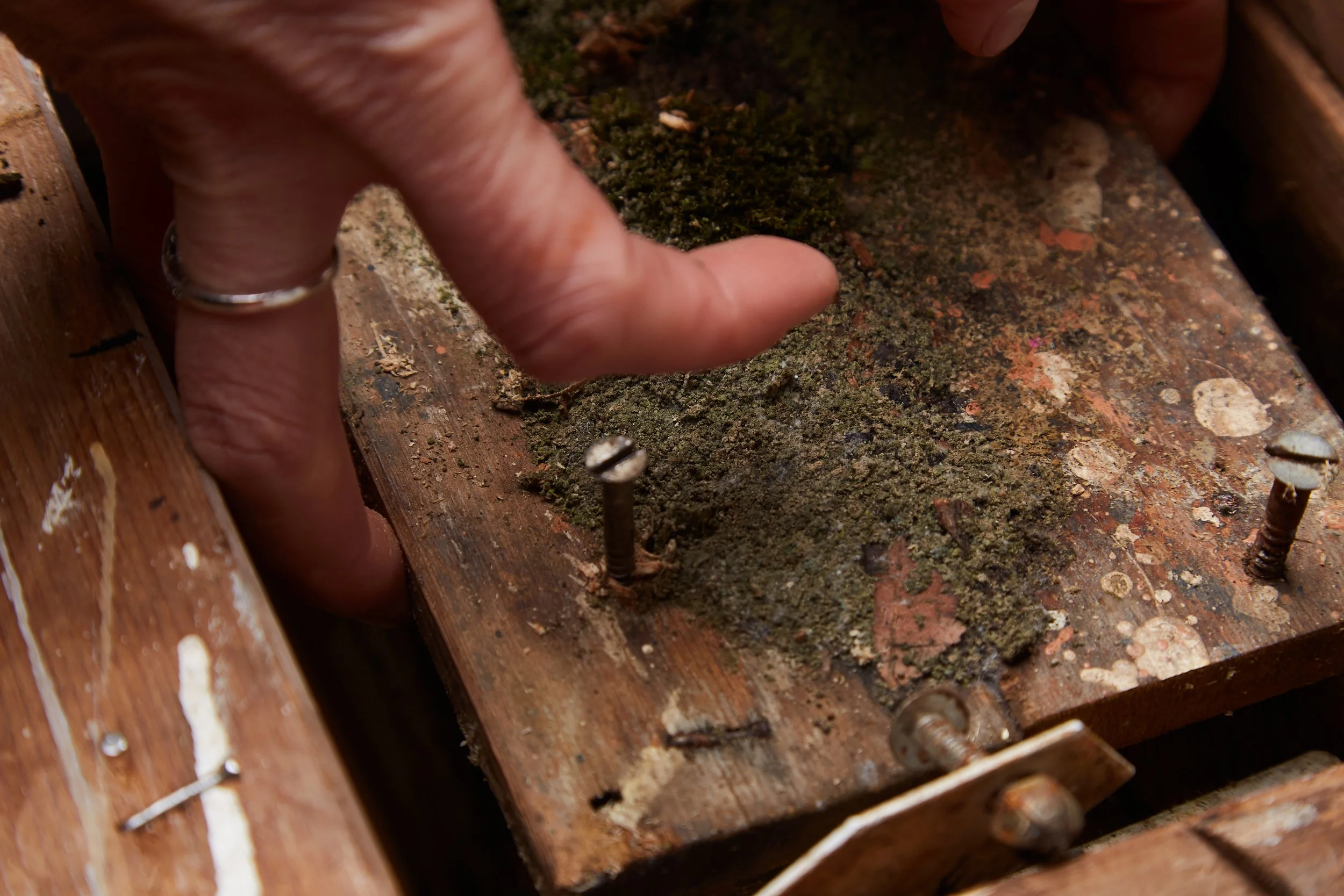 Copy of 2024 11 22 IAD Shoot0330.jpg