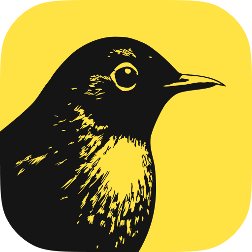 Scaling Bïrch’s content engine after a major rebrand