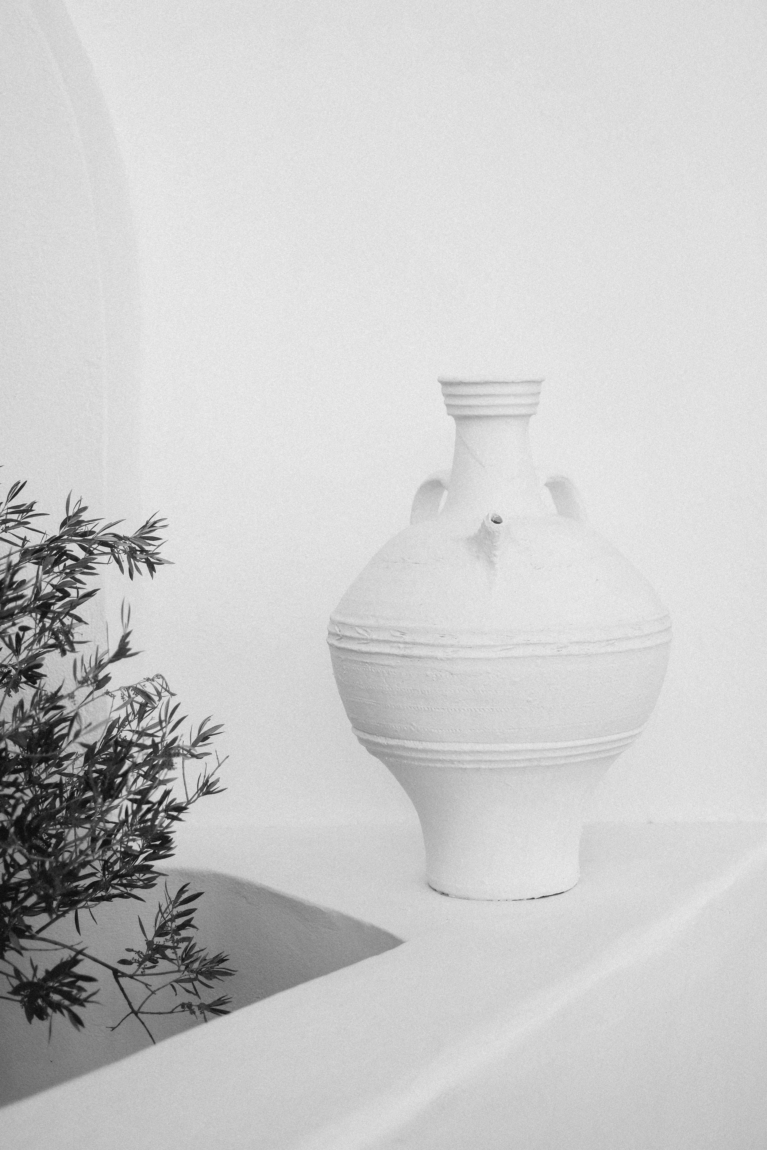 A black and white image of a decorative ceramic vase with a small branch, placed on a white surface next to a potted plant with long, narrow leaves.