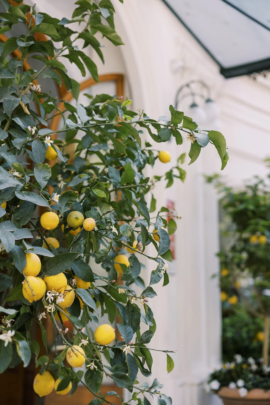 CAROLINA CHRIS-5659_websize.jpg