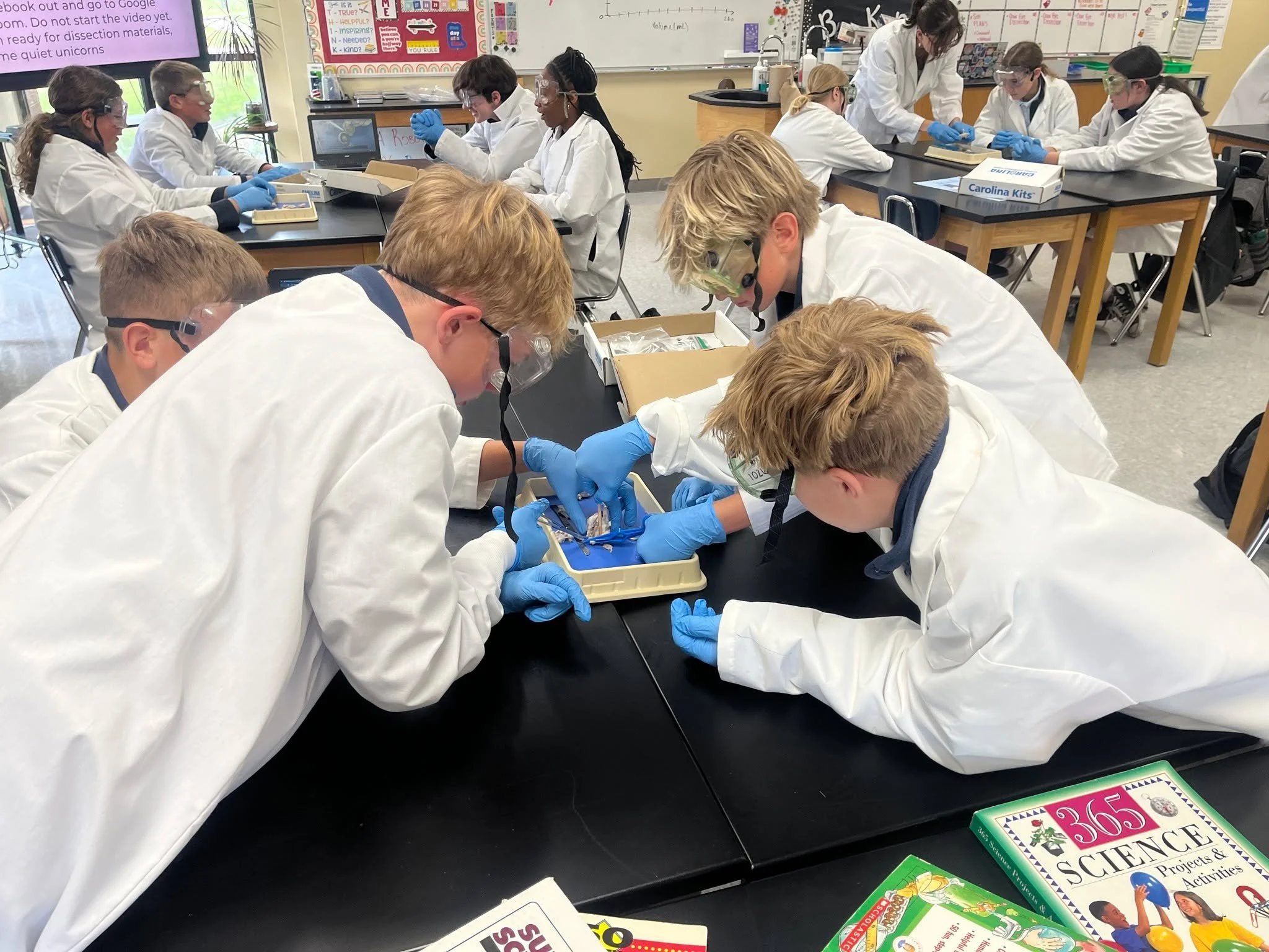 Our 8th graders enjoyed a fun science class featuring a guided dissection. The activity gave them a closer look at how anatomy works and led to great classroom discussions