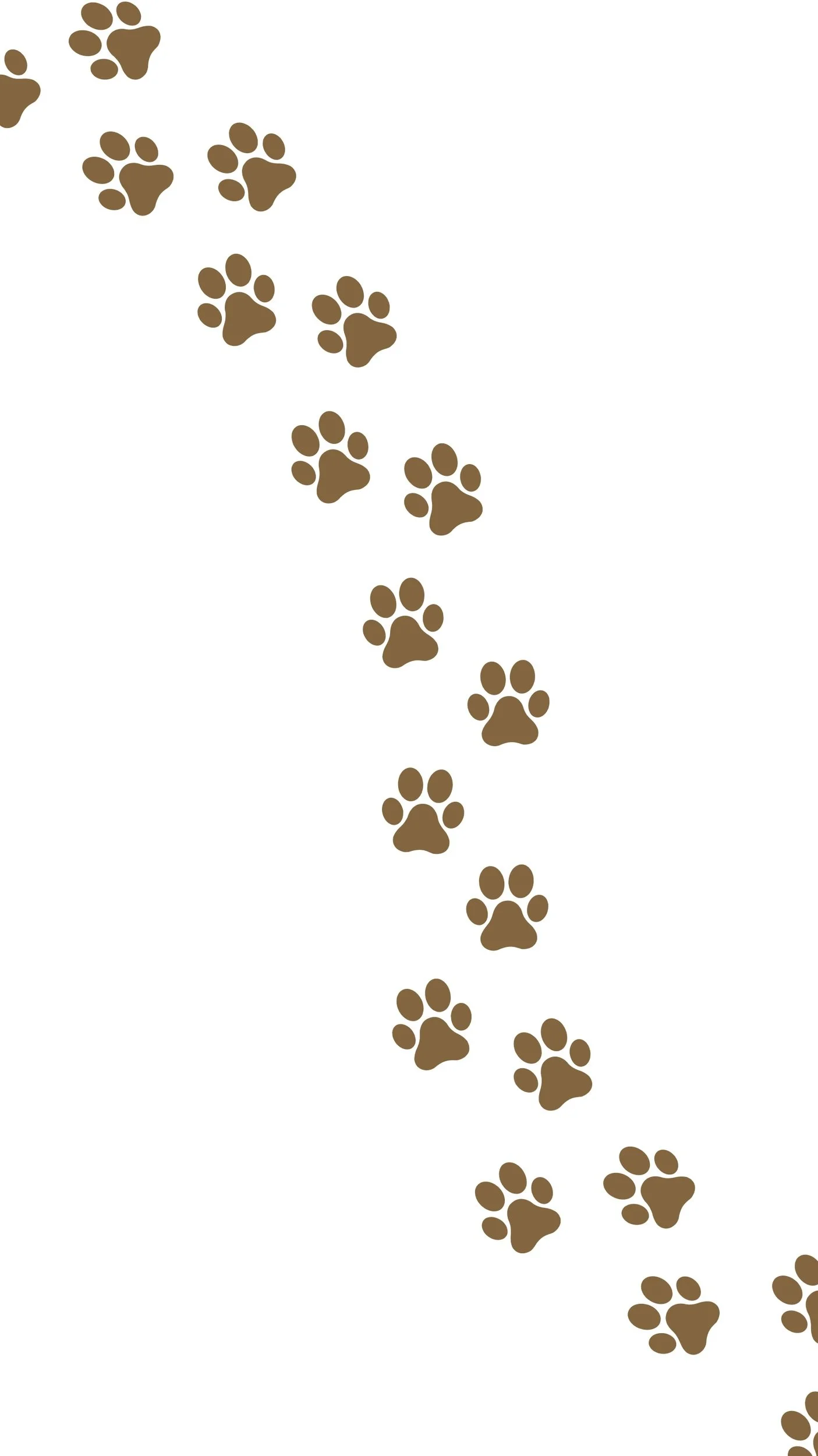 Flora Vet Clinic | Wellness Care for Pets — The Vet Depot