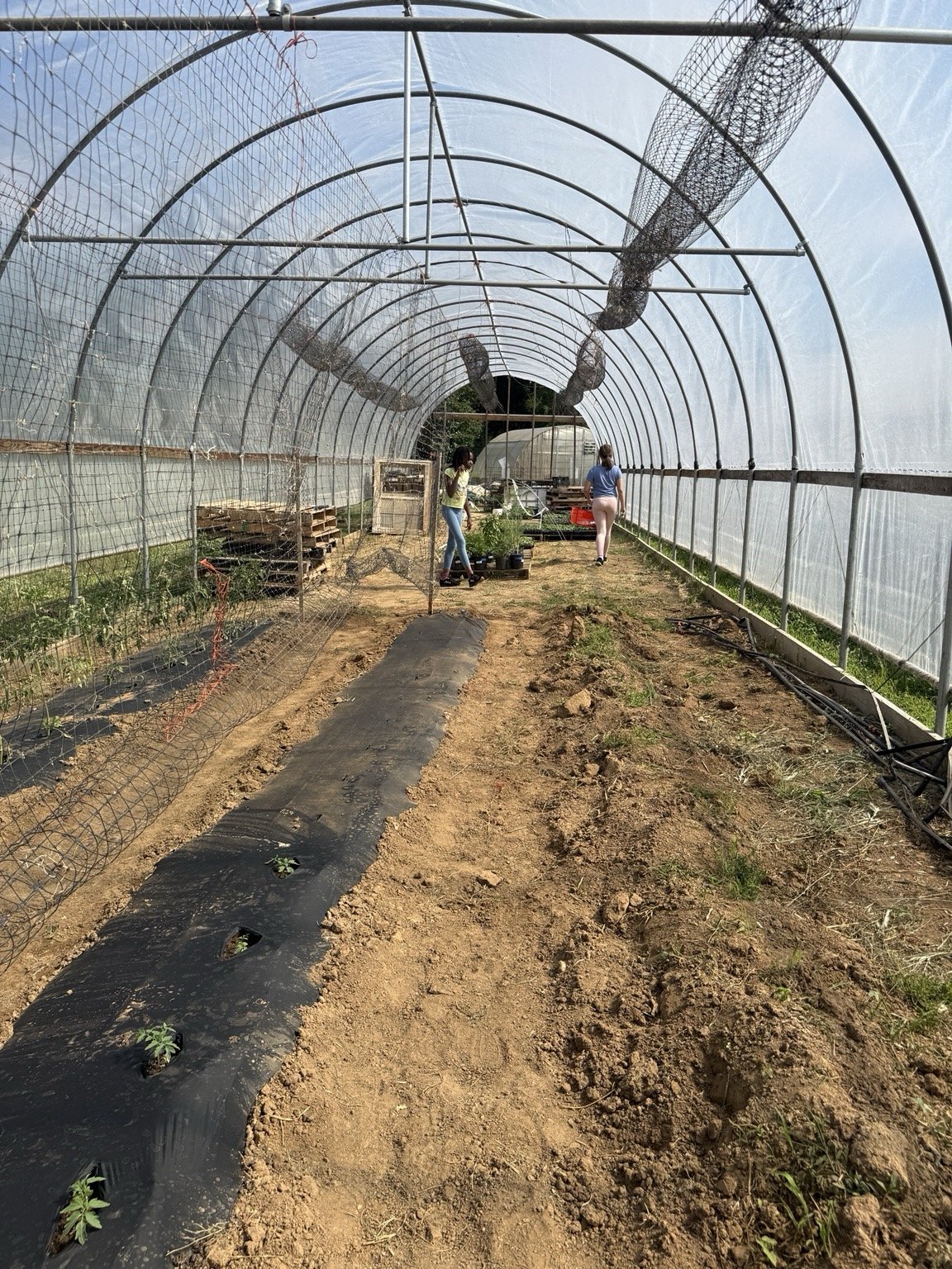 Why a Farm is More Than a Field Trip