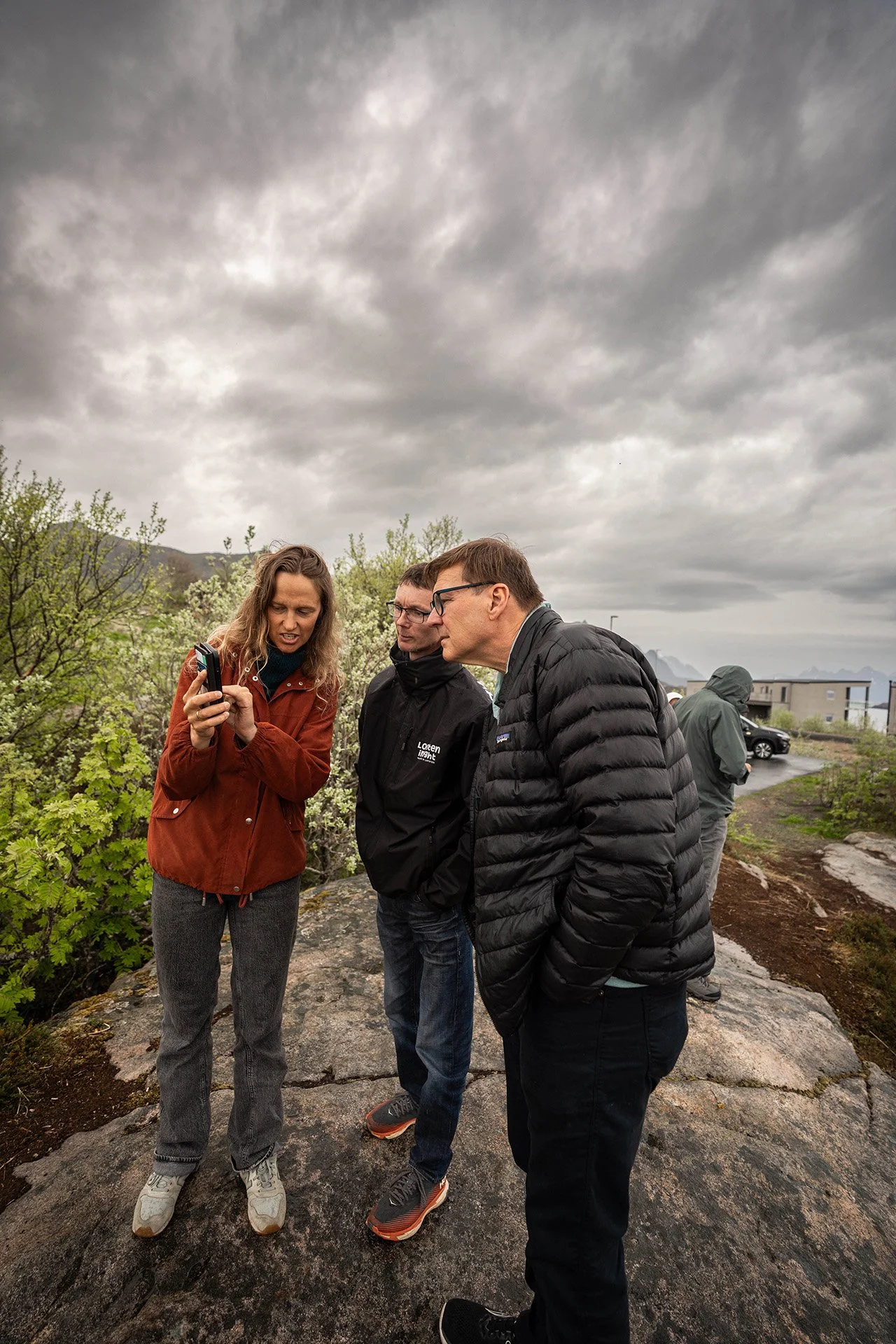 Lofoten Islands half day tour