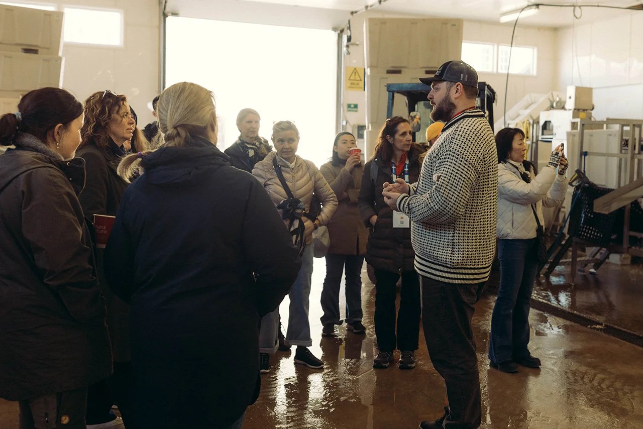 fish factory tour in Lofoten