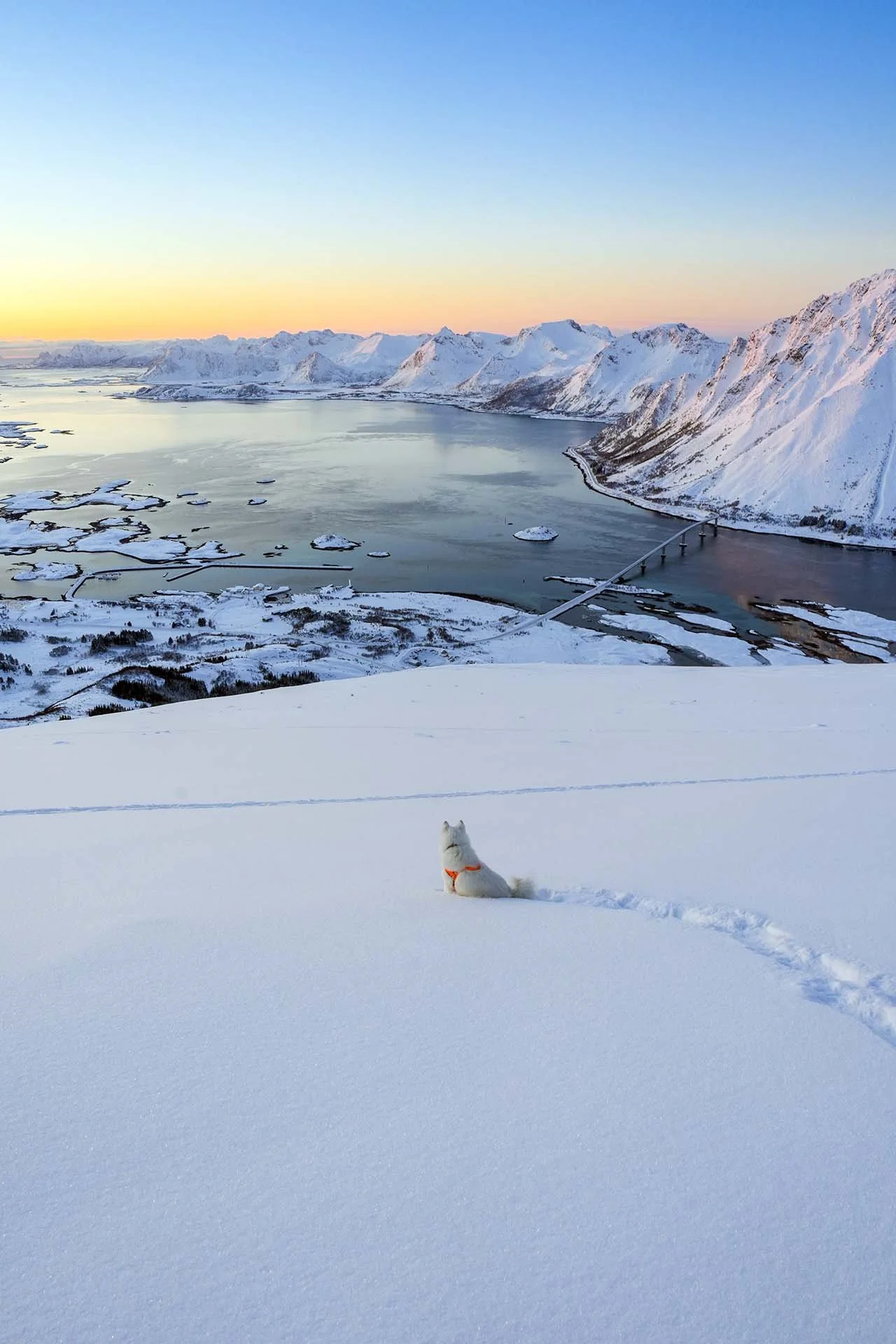 Snowshoe Hike Tour Lofoten